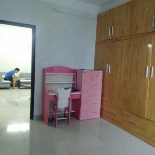 Cho thuê căn hộ 2pn - Nhà decor- CC Belleza, Q. 7